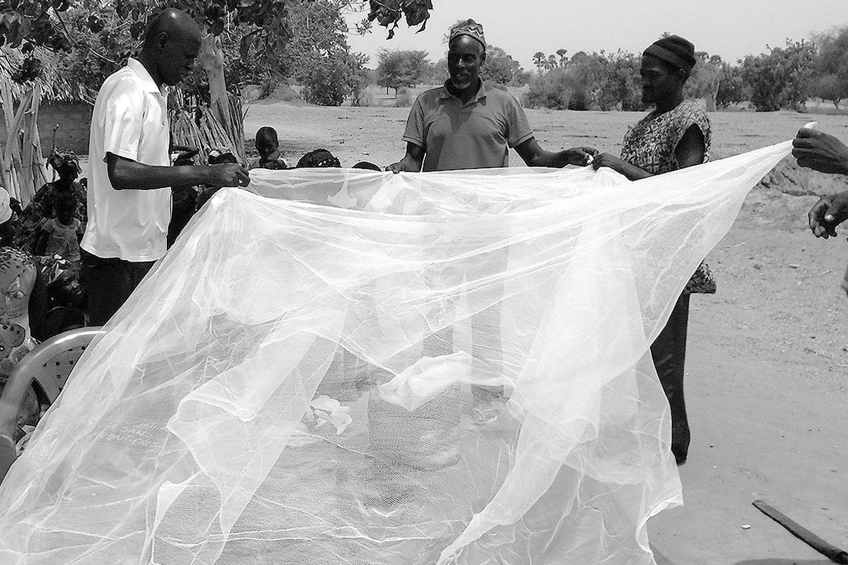 Distribution de moustiquaires dans un village au Sénégal