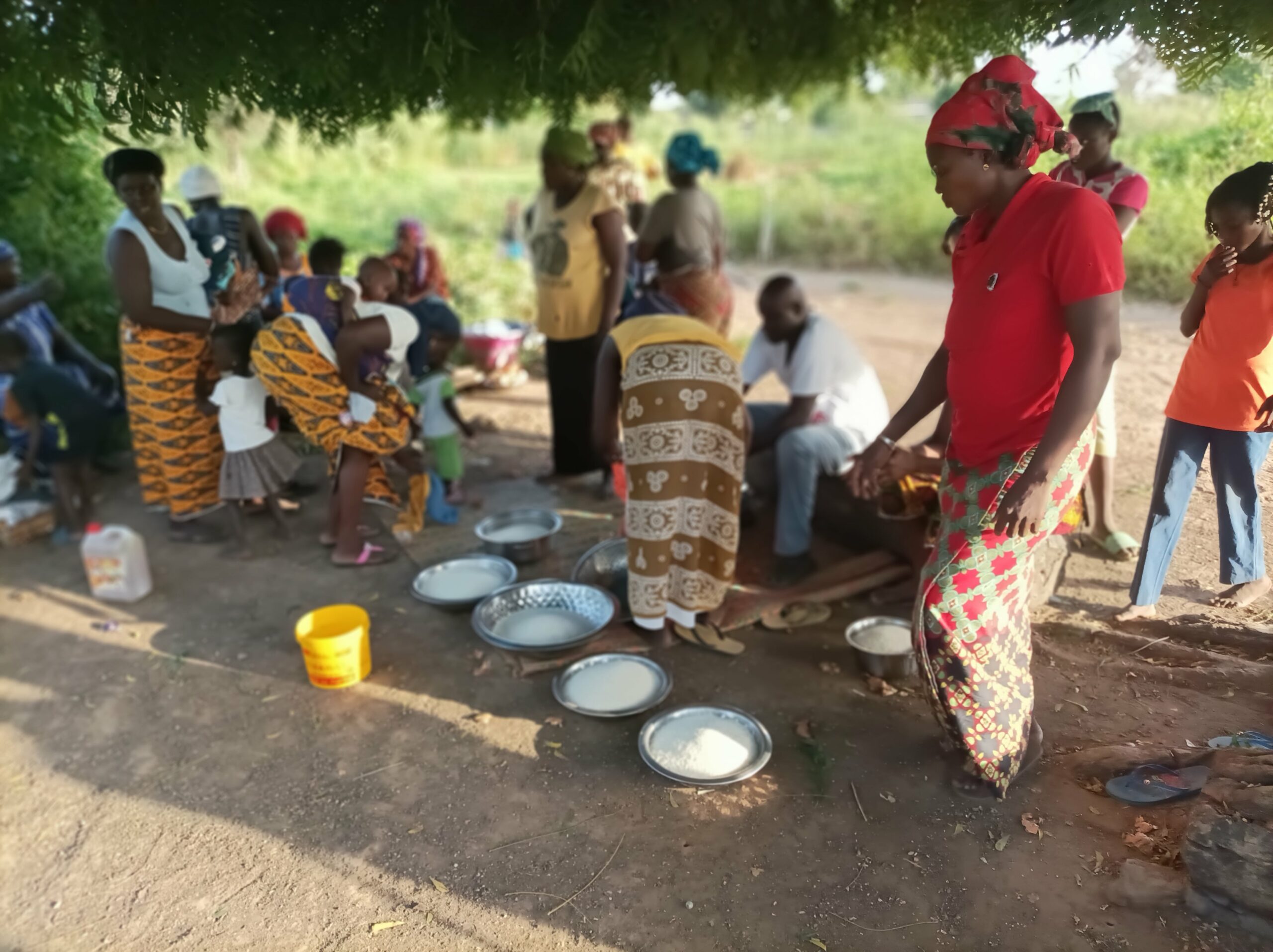 vie-sans-frontieres-alimentaire-lampes-solaires-202510254